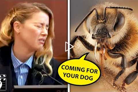 Top 10 Most Bizarre Amber Heard Court Moments Caught On Camera - Part 2