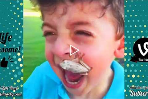 Try Not To Laugh Funny Videos - Bad Fails Make You Laugh All Day