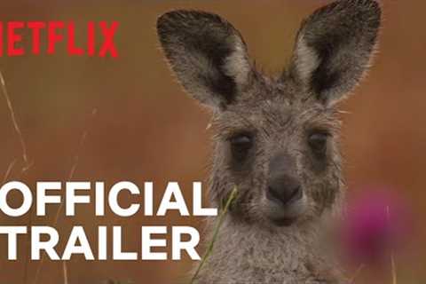 Kangaroo Valley | Official Trailer | Netflix