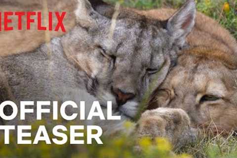 Our Planet II | Official Teaser | Netflix