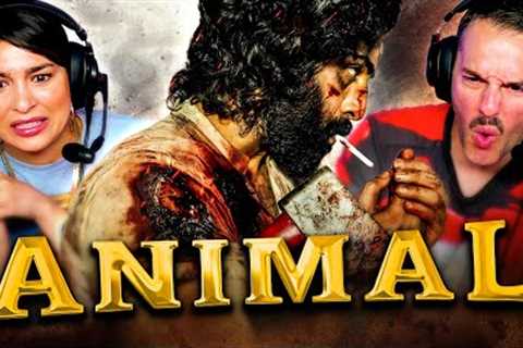ANIMAL Pre-Teaser REACTION! | Ranbir Kapoor | Sandeep Reddy Vanga | T-Series | CineDesi