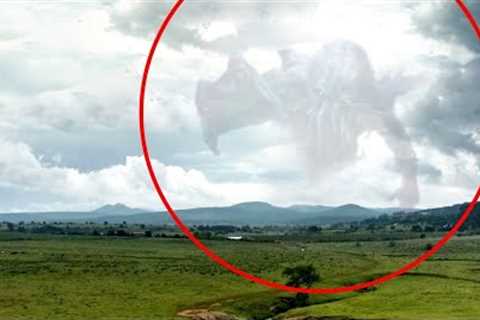 10 Giant Mysterious Creatures Caught on Camera