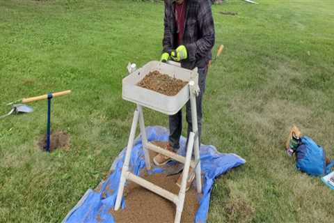 The Power of Documentary Films in Lincoln Park, Michigan